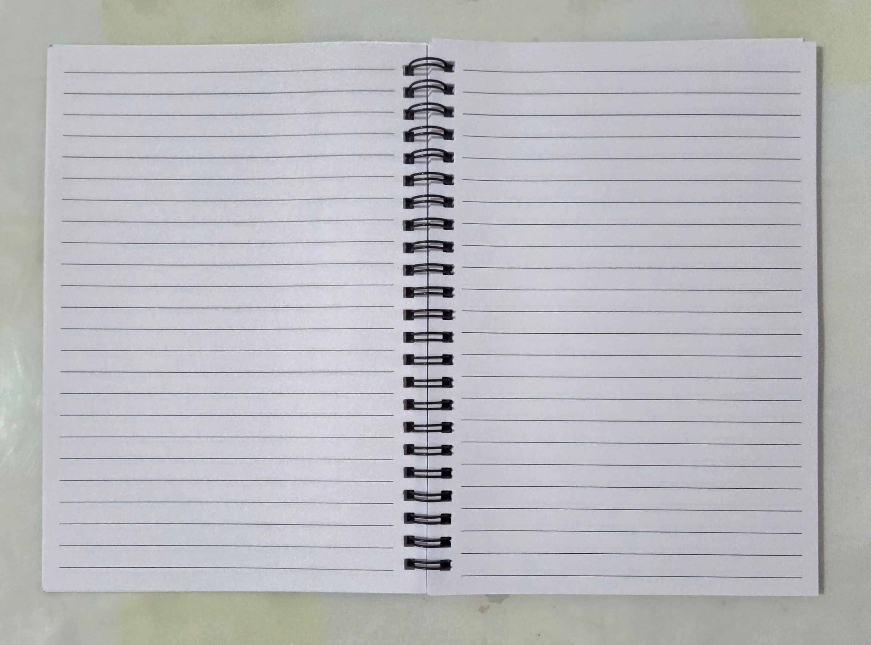 Landscape art spiral diary