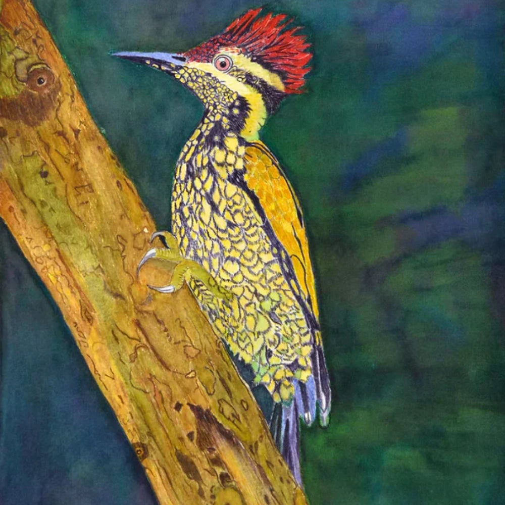 Lesser flamed woodpecker