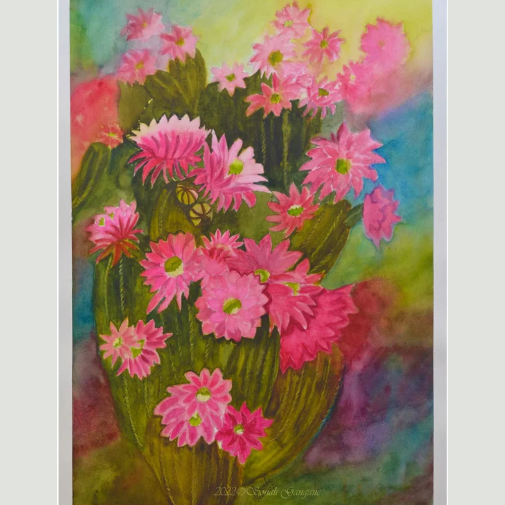 Saguaro Cactus Flowers